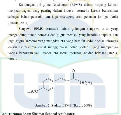 Gambar 2. Stuktur EPMS (Barus, 2009) 