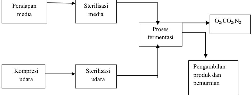 Gambar 2.2 Diagram proses fermentasi 