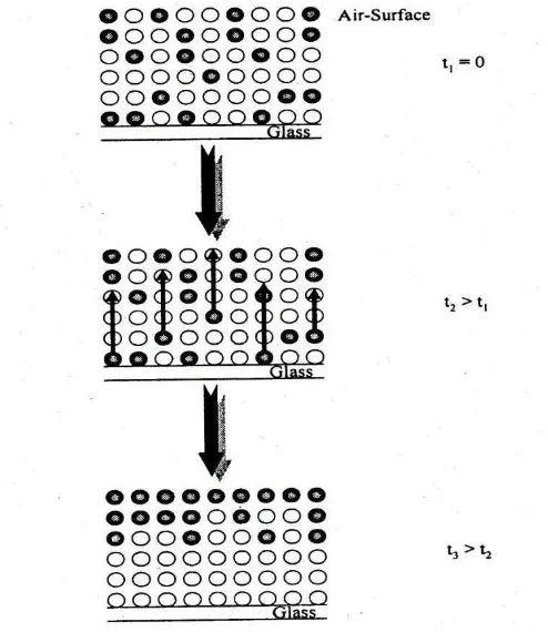 Gambar 2.6 Perpindahan SMM ke permukaan membran (Fang, 1997)