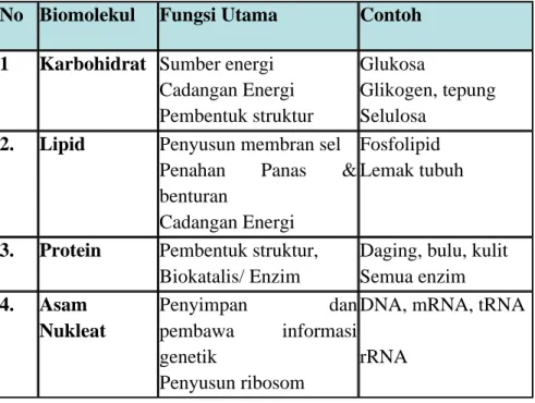 Tabel 1.1. Komponen Utama Penyusun Biomolekul  No  Biomolekul  Fungsi Utama  Contoh  1  Karbohidrat  Sumber energi 