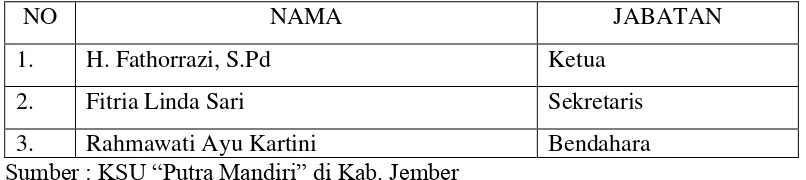 Tabel 4.1 : Susunan pengurus KSU “Putra Mandiri” di kabupaten Jember 
