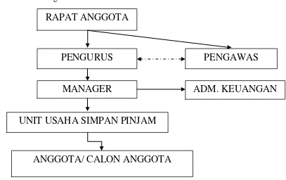 Gambar 4.1 Struktur Organisasi KSU “Putra Mandiri” di Kabupaten Jember periode 2008-2012 Sumber : KSU “Putra Mandiri” di Kab