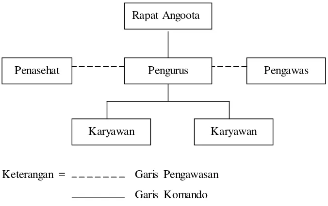 Gambar 4.1  : Struktur organisasi Koperasi Serba Usaha “IDA” Jember 