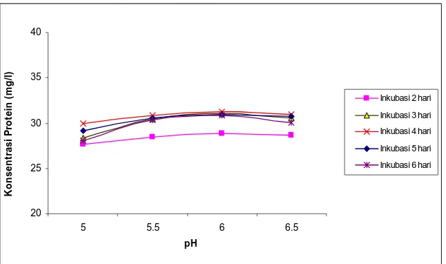 Grafik 4.4 Pengaruh pH dan waktu inkubasi Terhadap Konsentrasi Protein  