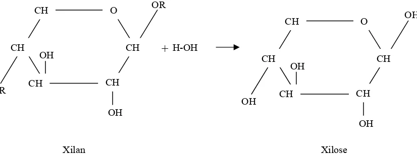 Gambar diatas adalah reaksi hidrolisa xylan beberapa sumber karbon yang sering digunakan 