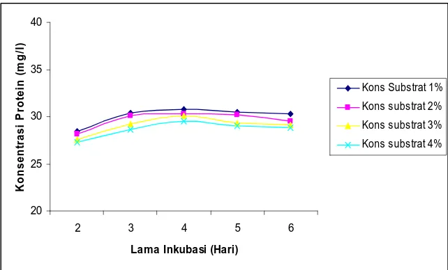 Grafik 4.3 Pengaruh Konsentrasi Substrat Terhadap Konsentrasi Protein  