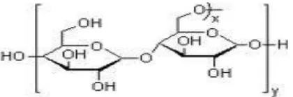 Gambar 2.3 Struktur molekul maltosa, sukrosa dan laktosa. 