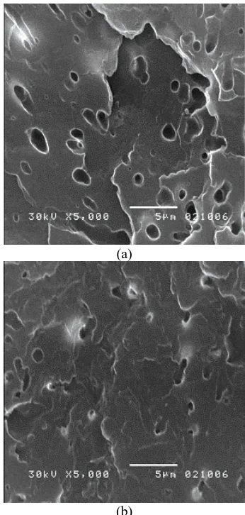 Gambar 1. Micrograph SEM blend NR/PP: a. NR/PP (b) 10/90, b. NR/PP 50/50  
