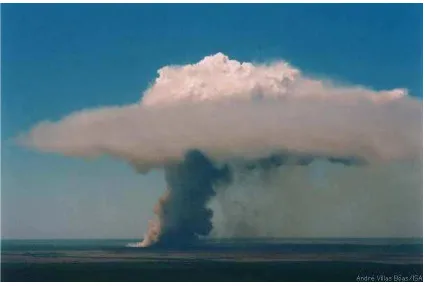 Figure 1. Forest burning for soy plantation, Mato Grosso, Brazil.