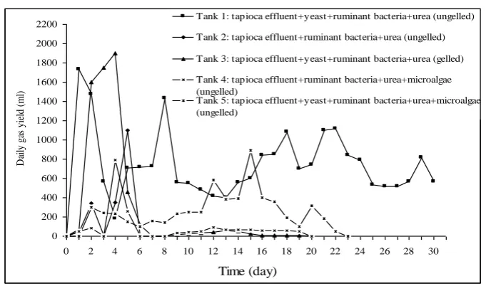 Figure 4.6 Daily Biogas Production (ml) from Various Feed Compositions  Performed in Anaerobik Biodigester of 5 L Digestion Volume