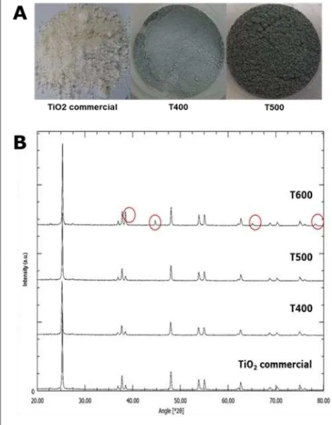 Figure 1. Photographs (A) and XRD patterns (B) of commercial TiO2 and modified TiO2 in dif-ferent temperature  