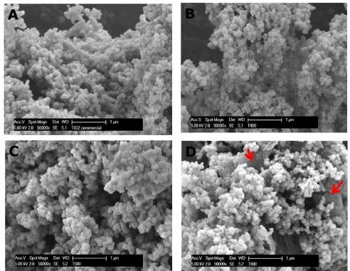 Figure 2. SEM images of commercial TiO2 (A) and modified TiO2 in different temperature (B = T400; C = T500; D = T600)  