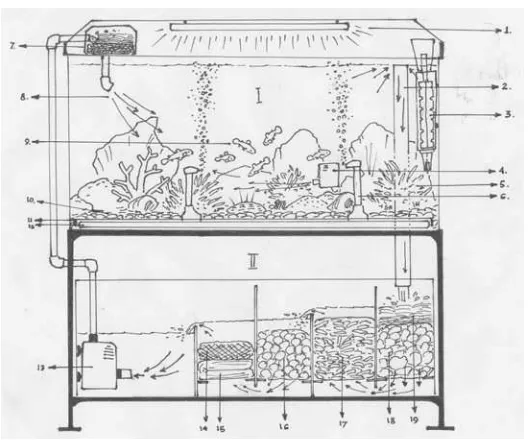 Gambar Rancangan Akuarium Air Laut  