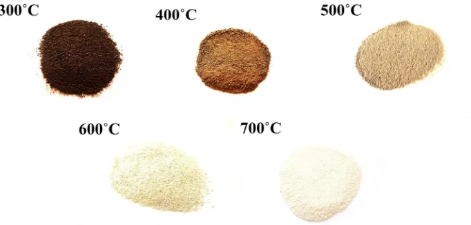 Gambar 1. Sampel hasil pembakaran dengan perubahan suhu dibuat berbeda. Pada gambar tersebut dapat dilihat kondisi operasi berupa suhu yang dibuat berbeda menunjukan perubahan warna yang sangat besar