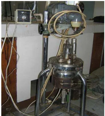 Figure 1. Stainless steel Autoclave with stirred 