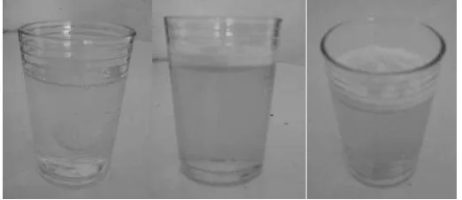 Gambar 4. Pelarutan tablet effervescent putih ke telur dalam air 