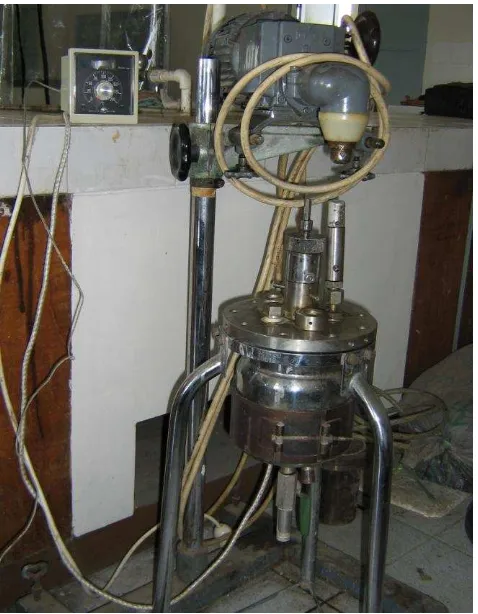 Figure 1. Stainless steel Autoclave with stirred 
