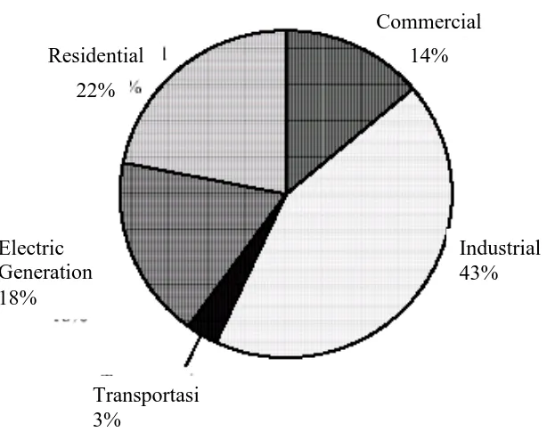 Gambar 1. Pemanfatan Gas Alam (Energy Information Administration, 2000)  