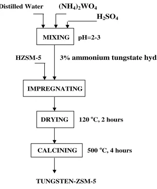 Gambar 3. Skematik Diagram Pembuatan Katalis W-HZSM-5 