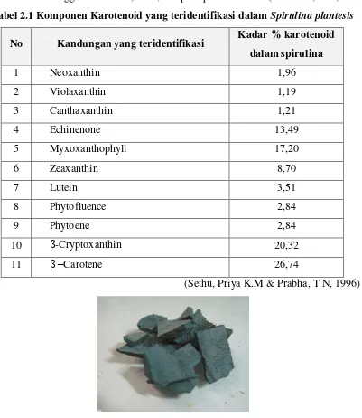 Tabel 2.1 Komponen Karotenoid yang teridentifikasi dalam Spirulina plantesis 