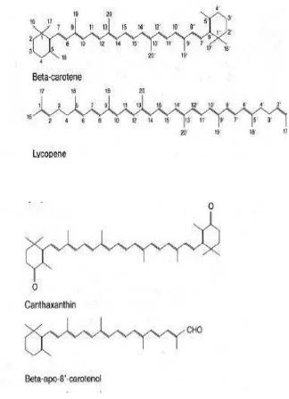 Gambar 2.4 Struktur molekul Karotenoid 