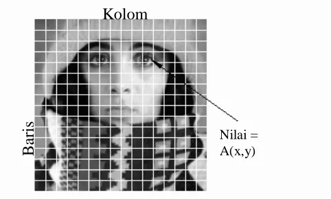 Gambar 1.   Komponen citra digital. 