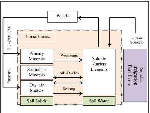 Fig. 2.1.  The soil – water – nutrient element – weed relationship  (Adapted from Salam, 2014)