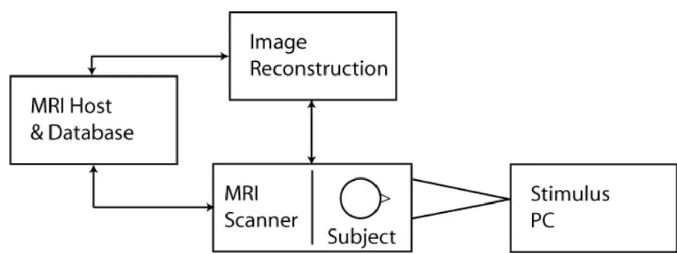 Figure A.1: Conventional fMRI experimental setup