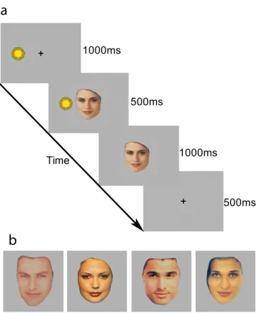 Figure 2.1: a) Sample time course of a reinforced CS+ conditioning trial with a female attractive face