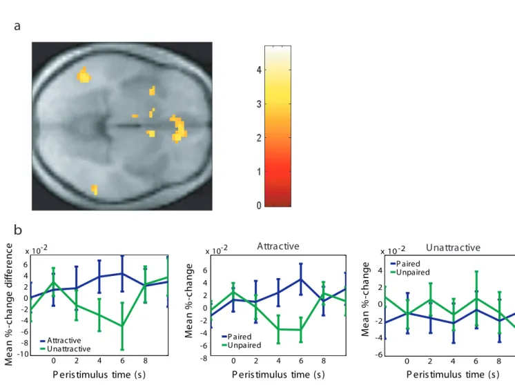 Figure 2.5: a) Voxels in the orbitofrontal cortex extending into medial prefrontal cortex were signicantly activated in a contrast of attractive faces vs