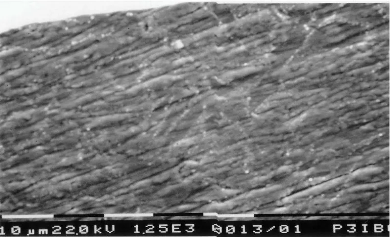 Gambar 5. Mikrostruktur dari Paduan logam Zr-Mo-Fe-Cr yang telah  dioksidasi  pada temperatur 550oC selama 24 jam dalam suasana uap air 