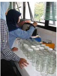 Gambar 2. Pembuatan Media Anggrek  