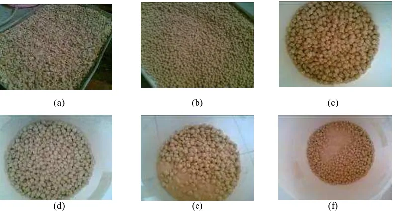Gambar 2. Hasil modifikasi zeolit lokal Gunungkidul dengan material tambahan berupa : (a) basa kuat (NaOH); (b) Bentonit Boyolali; (c) Kaolin Semin Gunungkidul;  (d) Gamping; (e) Tapioka; (f) Kitosan Cair 