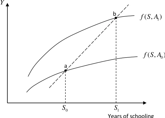 FIGURE 2: HYPOTHETICAL EARNINGS-SCHOOLING PROFILE BY ABILITY (ABILITY HAS A MORE MAJOR EFFECT) 