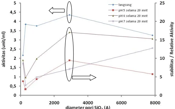 Gambar 3 Grafik pengaruh diameter pori terhadap aktivitas dan stabilitas enzim pada suhu 25 dan 50C  