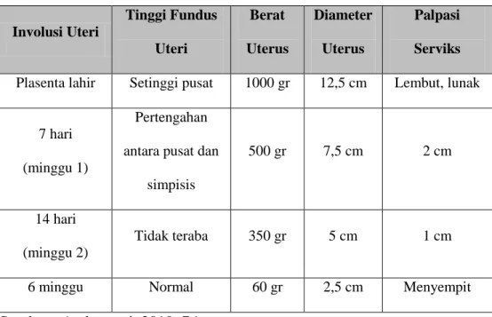 Tabel 2.1 Perubahan Uterus Masa Nifas 