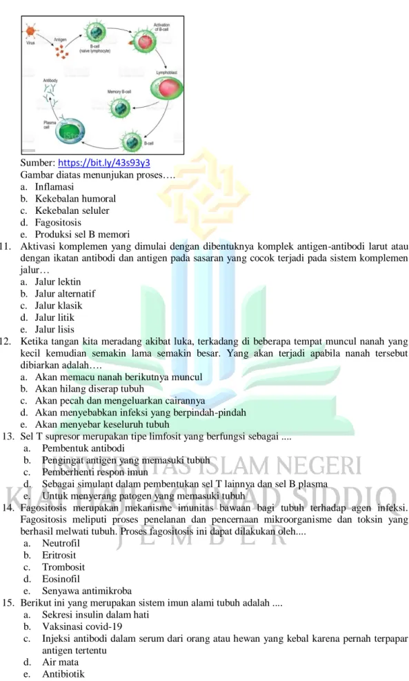 Gambar diatas menunjukan proses…. 