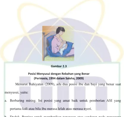   Gambar 2.3 