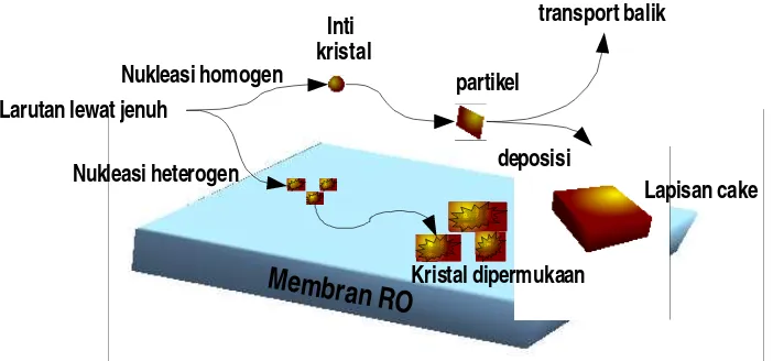Gambar 2.8. Mekanisme scaling pada membran RO [24] 