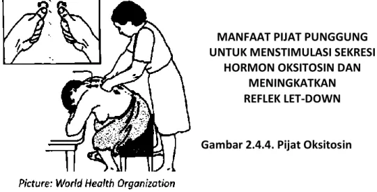 Gambar 2.4.4. Pijat Oksitosin 