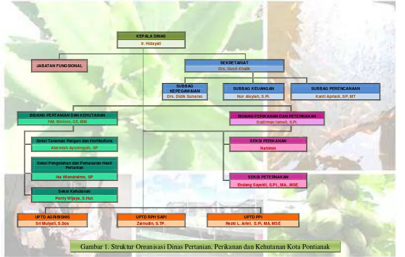 Gambar 1. Struktur Organisasi Dinas Pertanian, Perikanan dan Kehutanan Kota Pontianak 