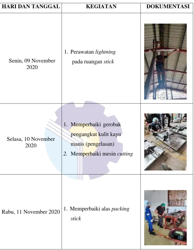 Tabel 2.2. Kegiatan Minggu ke-2 