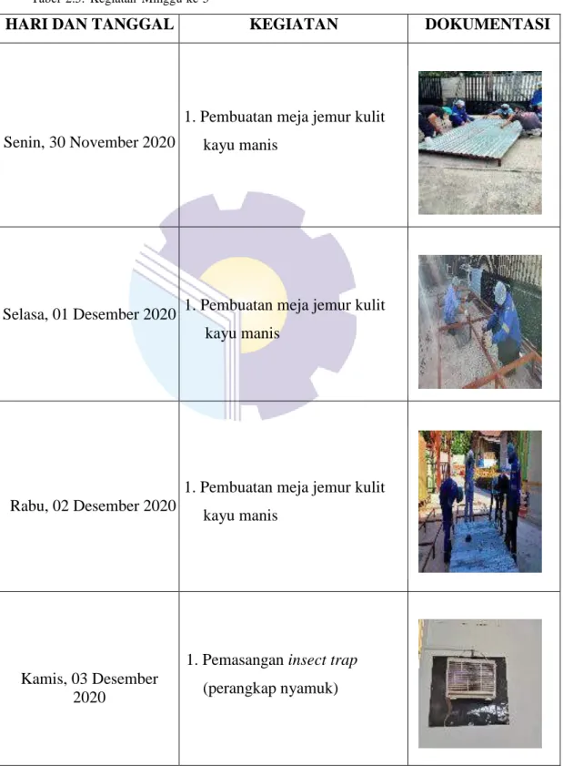 Tabel  2.5.  Kegiatan  Minggu ke-5 