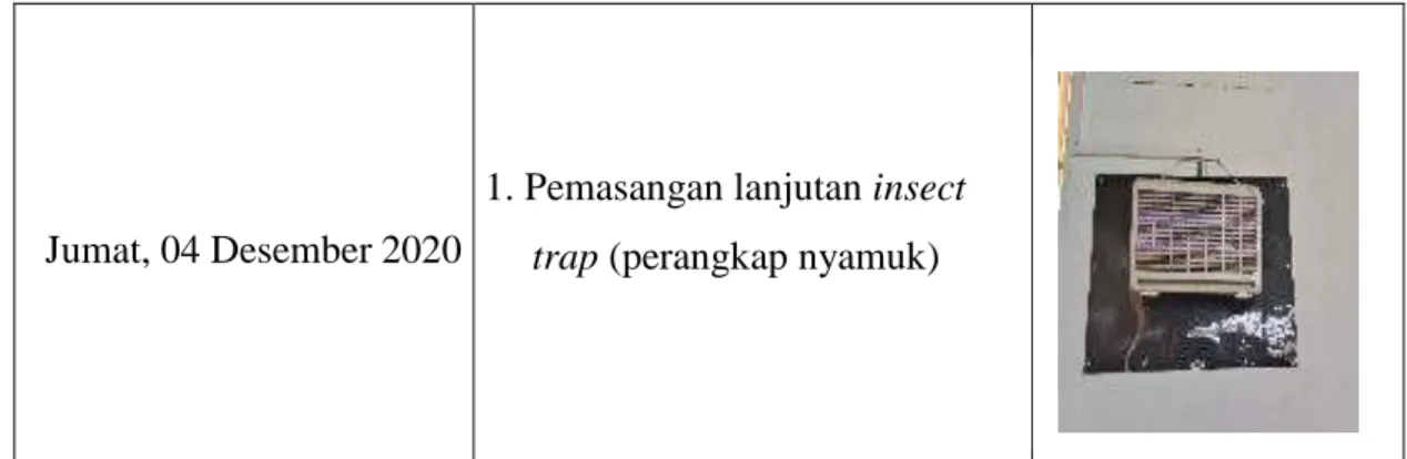 Tabel  2.6.  Kegiatan  Minggu ke-6 