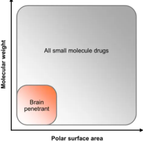 Fig. 1.6. Molecular properties that allow for small molecule drug brain penetration impose  tight restrictions on drug design, particularly molecular weight and total polar surface area