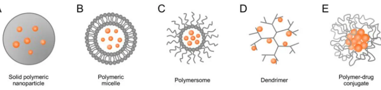 Fig. 1.13.  Types of polymeric nanoparticle systems for drug delivery. Gray denotes  polymeric material and orange active drug