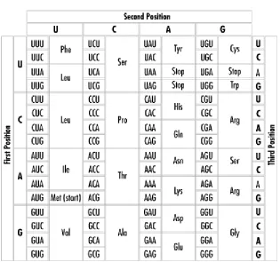 Figure 8-1. The genetic code 