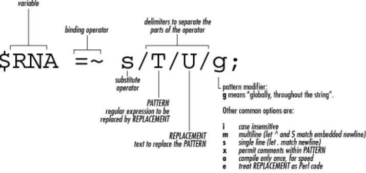 Figure 4-1. The substitution operator 