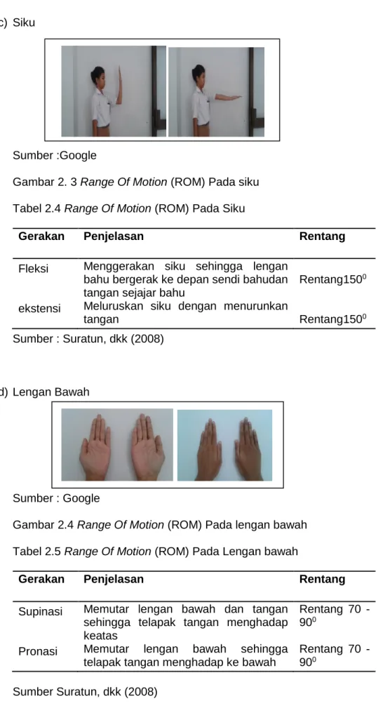 Gambar 2. 3 Range Of Motion (ROM) Pada siku  Tabel 2.4 Range Of Motion (ROM) Pada Siku 