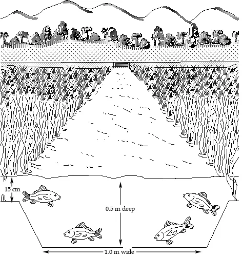 Figure 2: Trench measurements and water depth in the rice paddy.